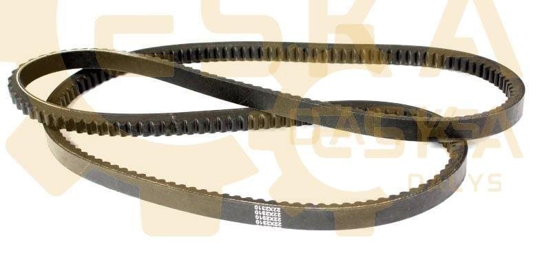 V Diržas CVA - 1100375 - Afbeelding 2