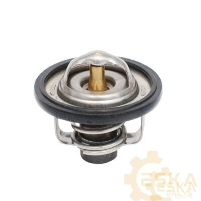 Termostatas - 2517660