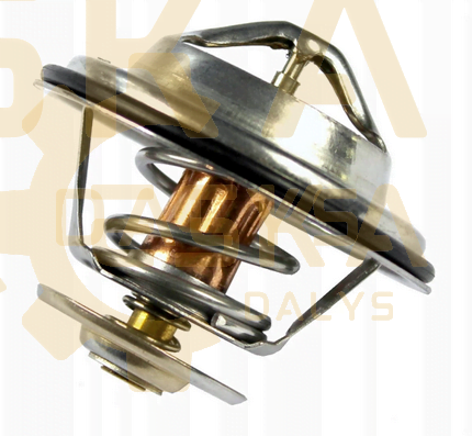 Termostatas - 02/202107