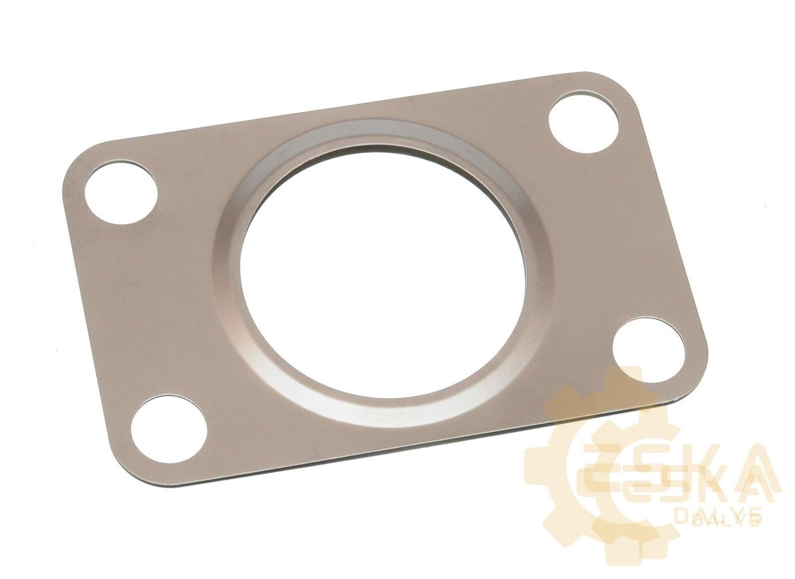 Turbine gasket - 02/201684