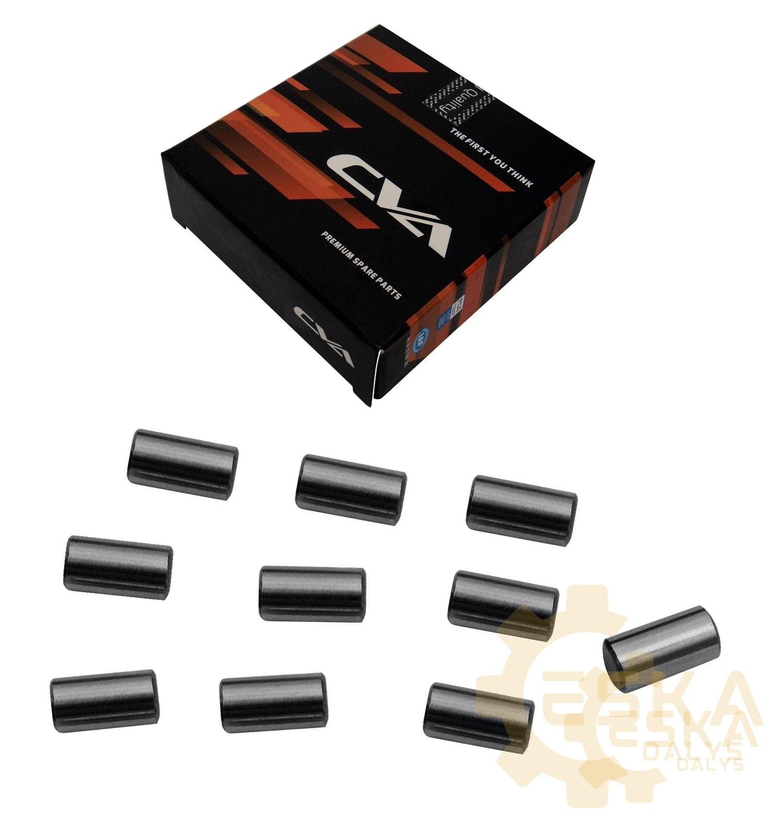 Guolis CVA ( 10 ritinių) - 11709374