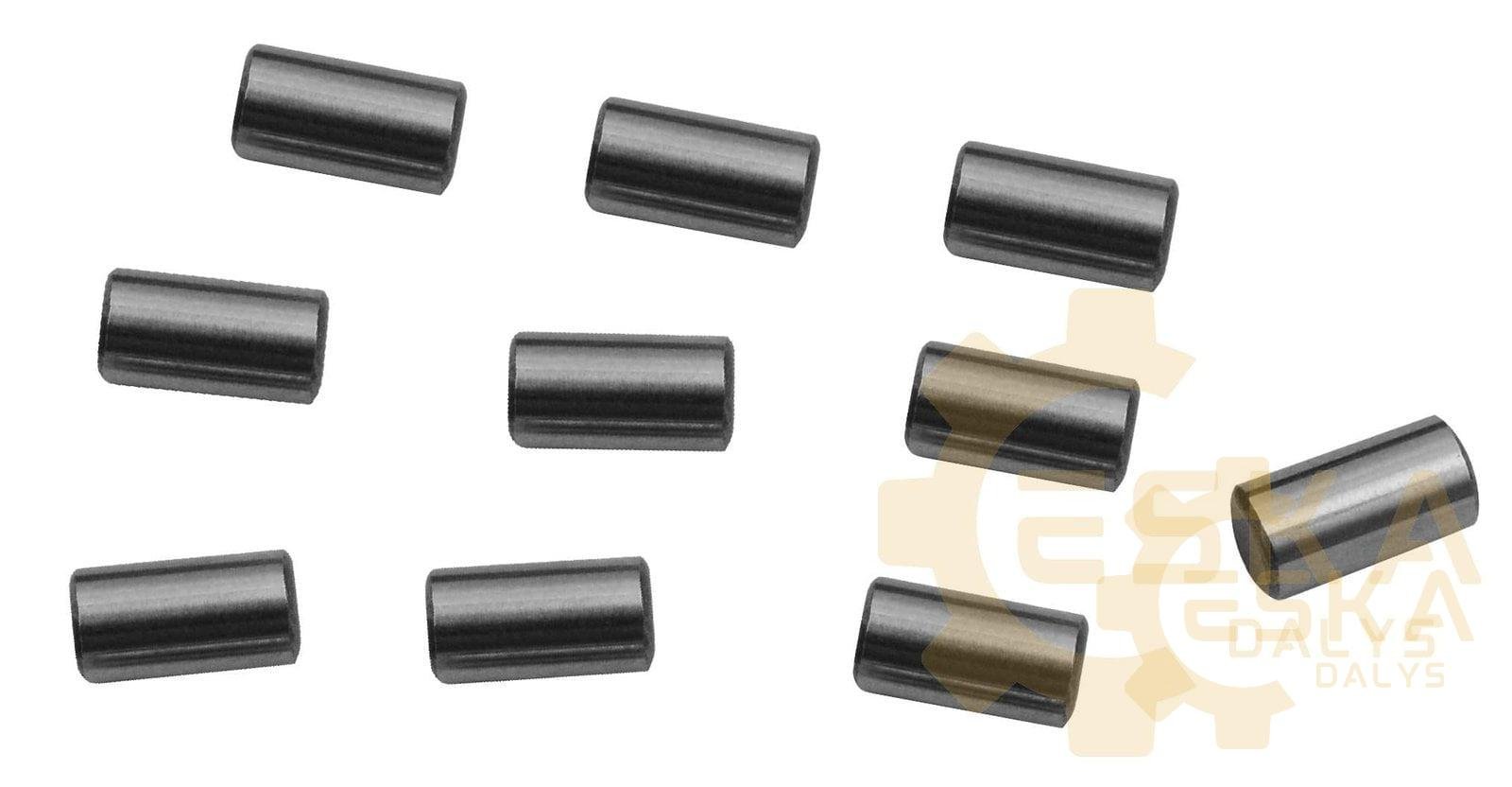 Guolis CVA ( 10 ritinių) - 11709374 - Vaizdas 2