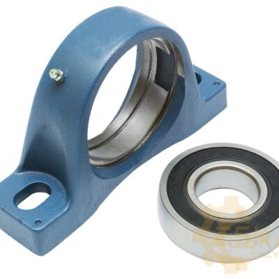 Guolis OEM - 11705365