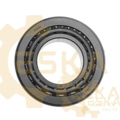 Guolis CVA - V11704974
