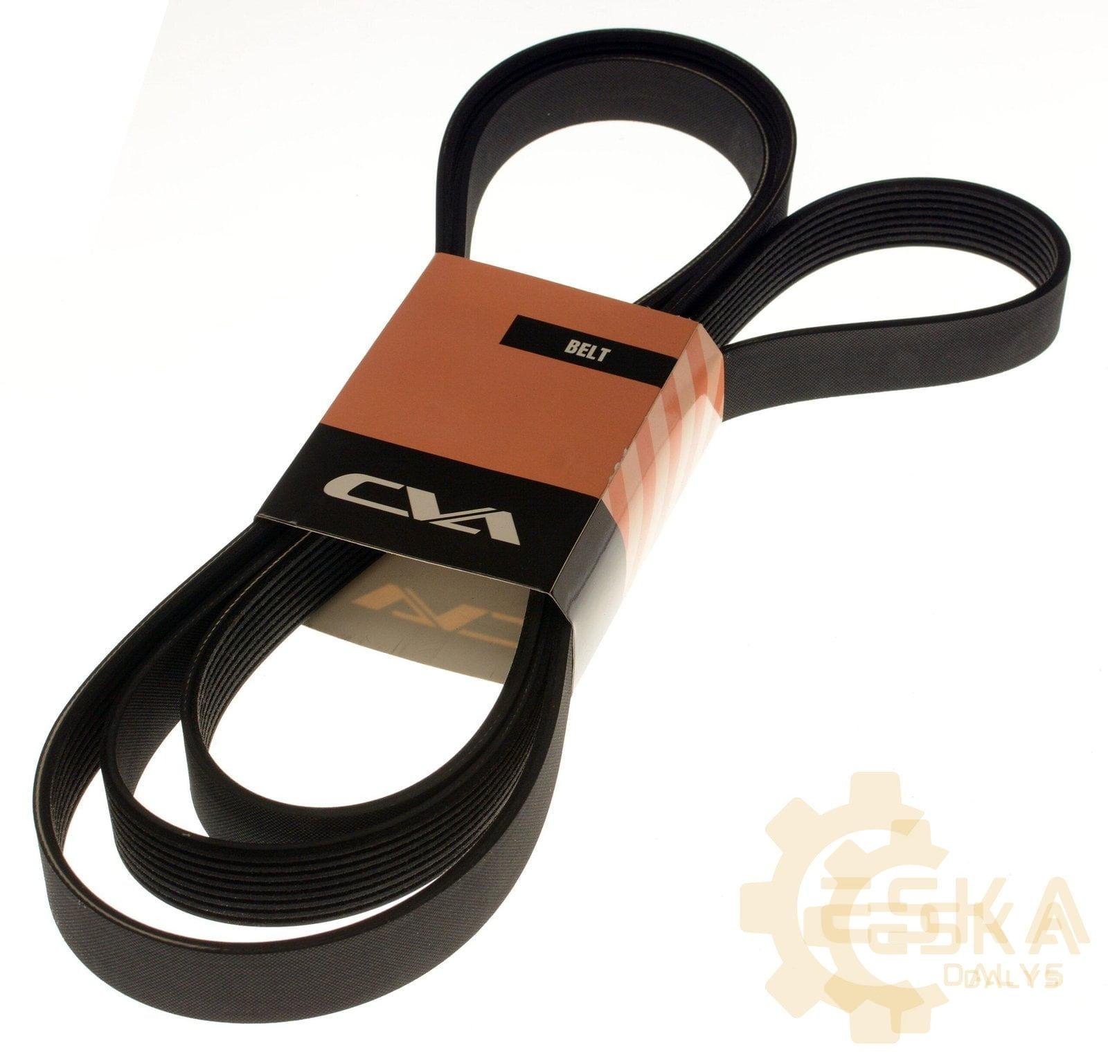 Diržas PK CVA - 2153015 - Vaizdas 2