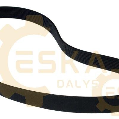 Diržas PK CVA - 20412527
