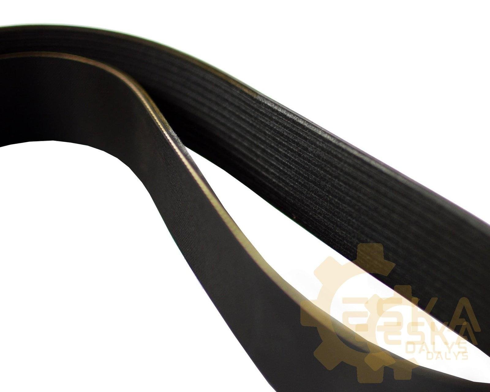 Ventiliatoriaus diržas - R175825 - Vaizdas 2