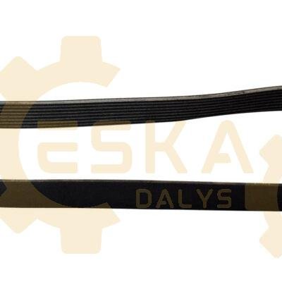 Diržas OEM - 1417116