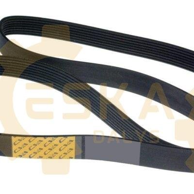 Diržas PK CVA - 320/08608