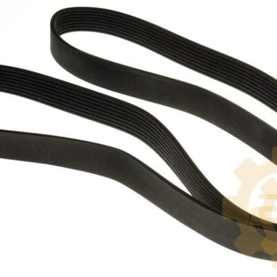 Diržas PK CVA - 320/08598