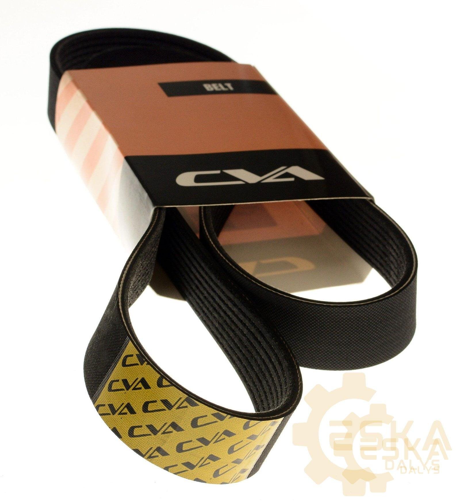 Diržas PK CVA - 3243408 - Afbeelding 2