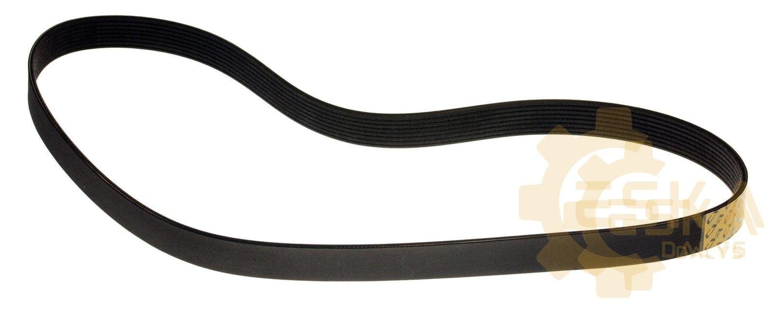 Diržas PK CVA - 3243408 - Afbeelding 4