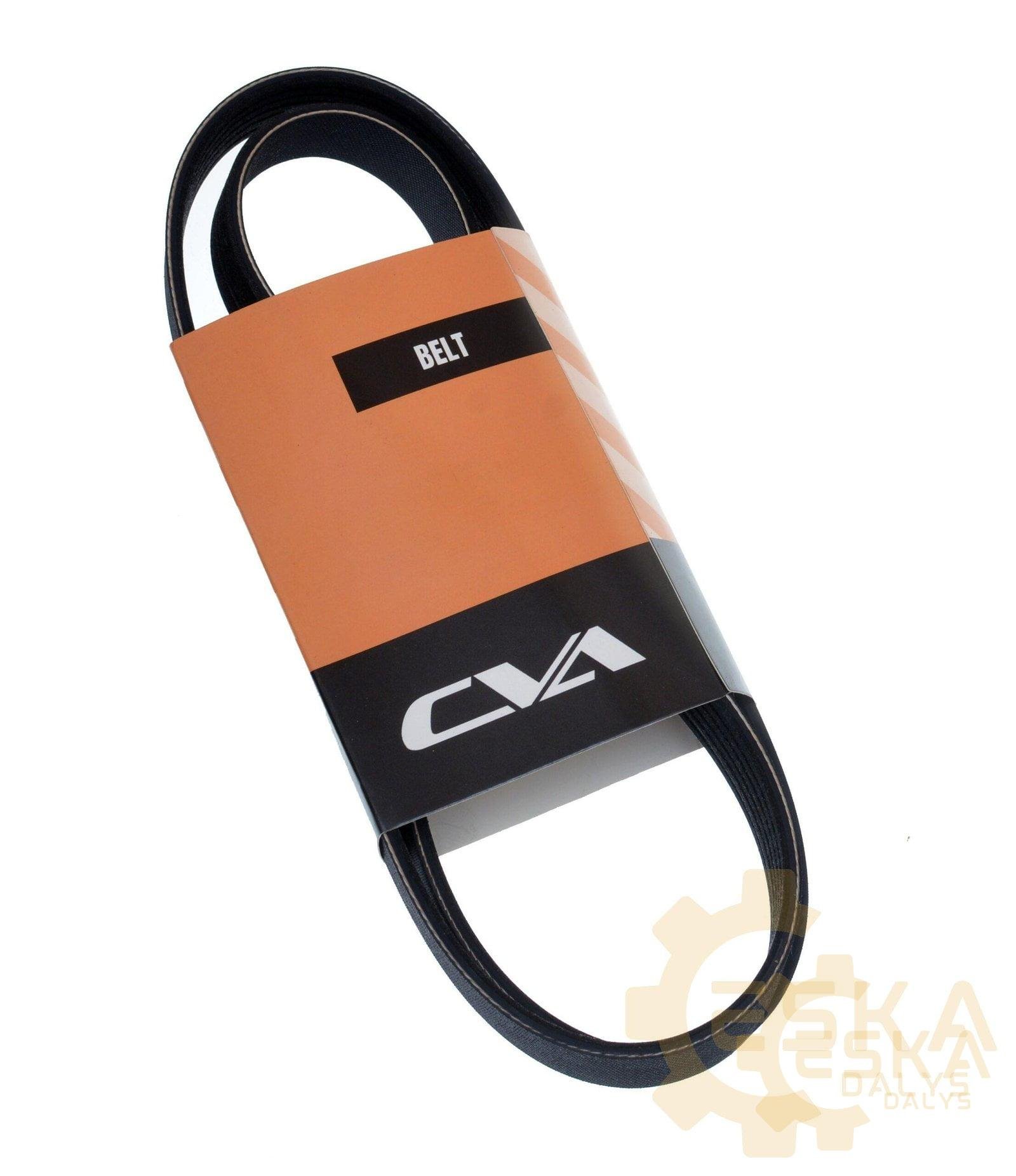 Belt PK CVA - 20441019