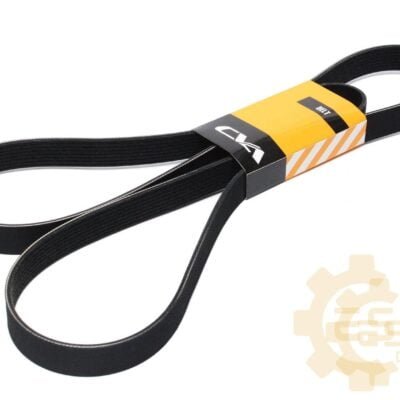 Diržas PK CVA - 320/08605