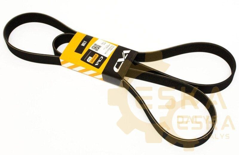 Diržas PK CVA - 320/08603