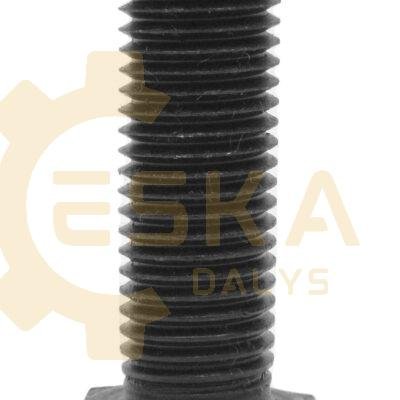 Varžtas - 2276034