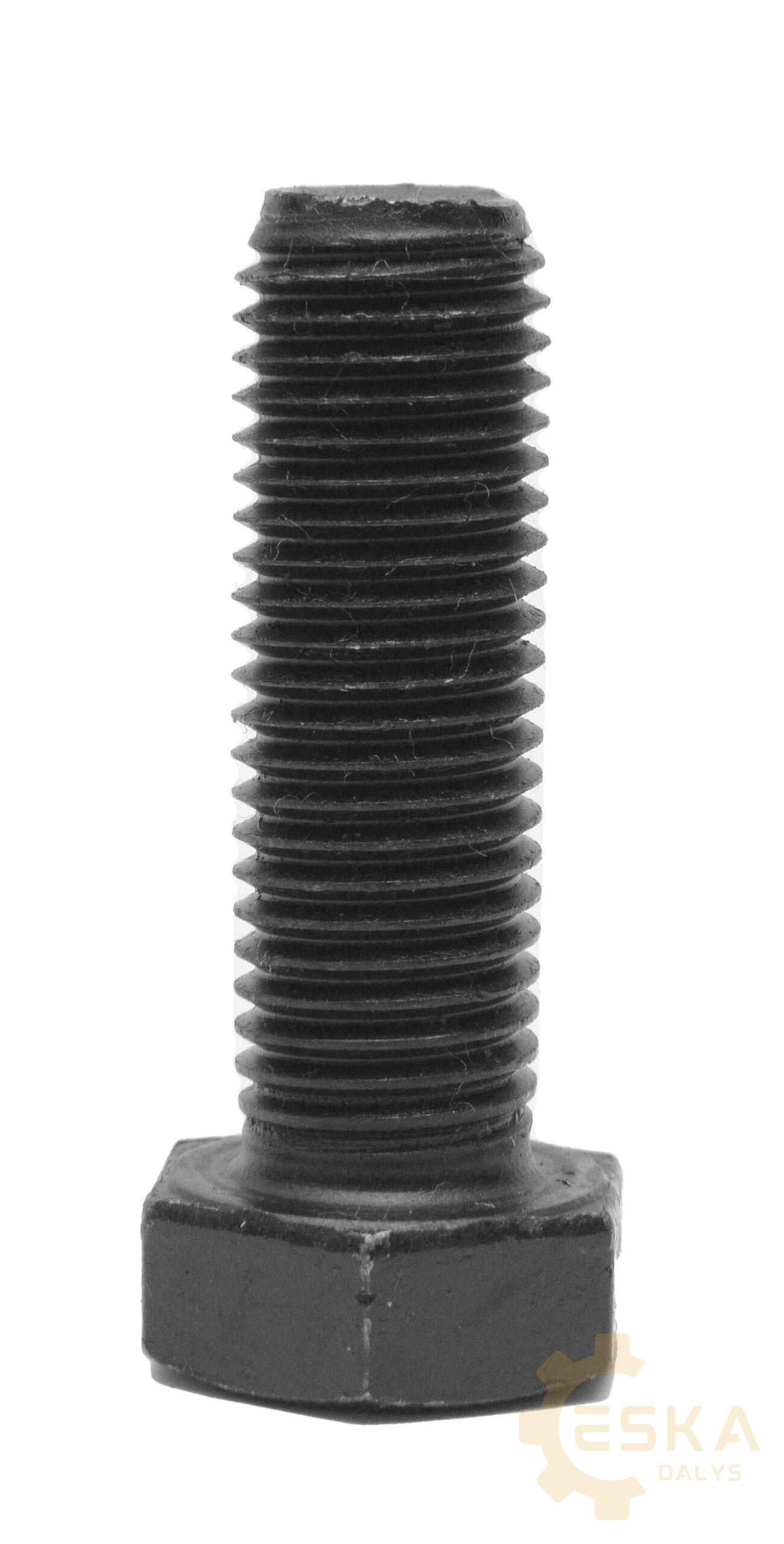Varžtas - 2276034