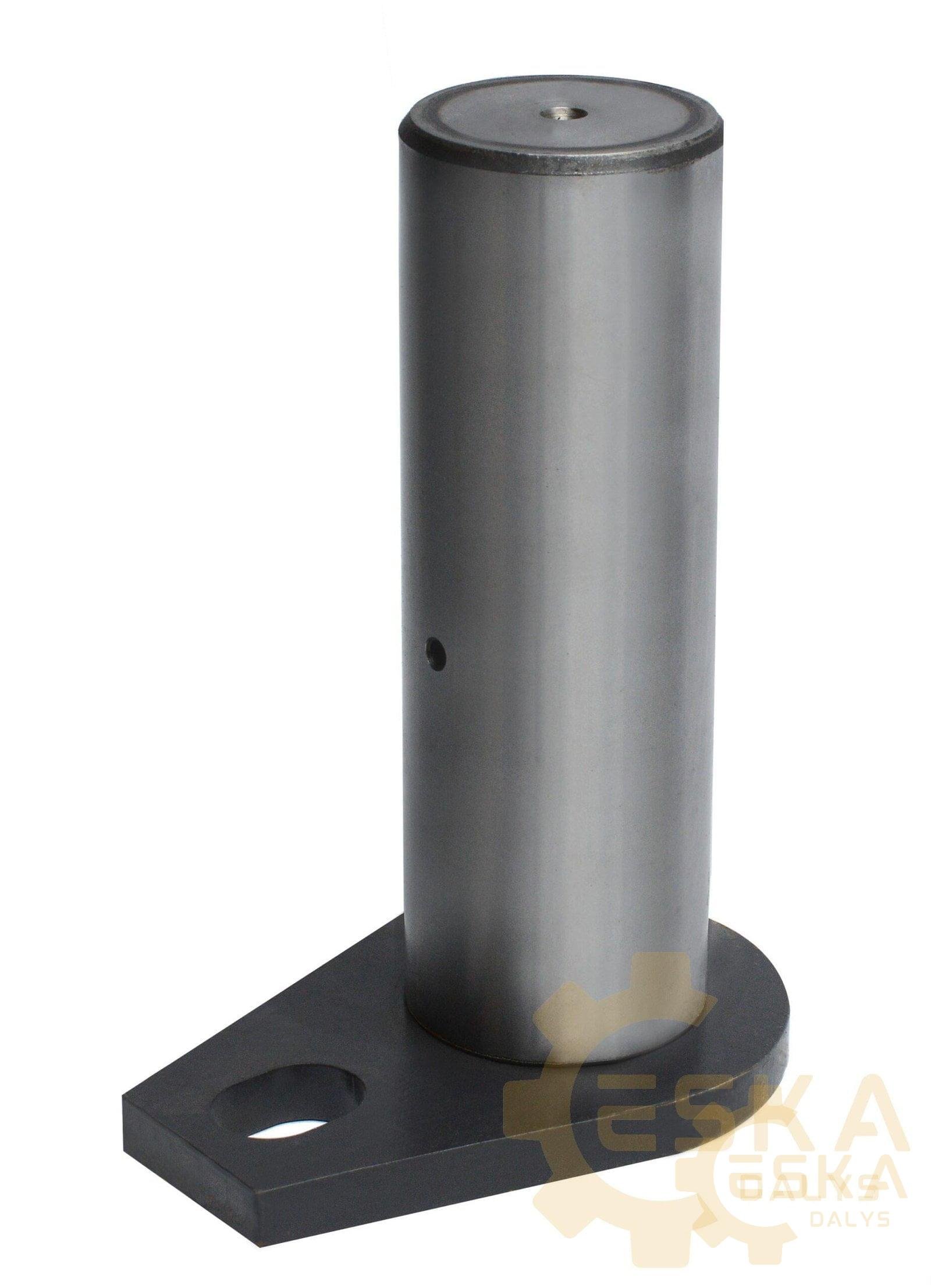 Įvorė - 4974050 - Afbeelding 2