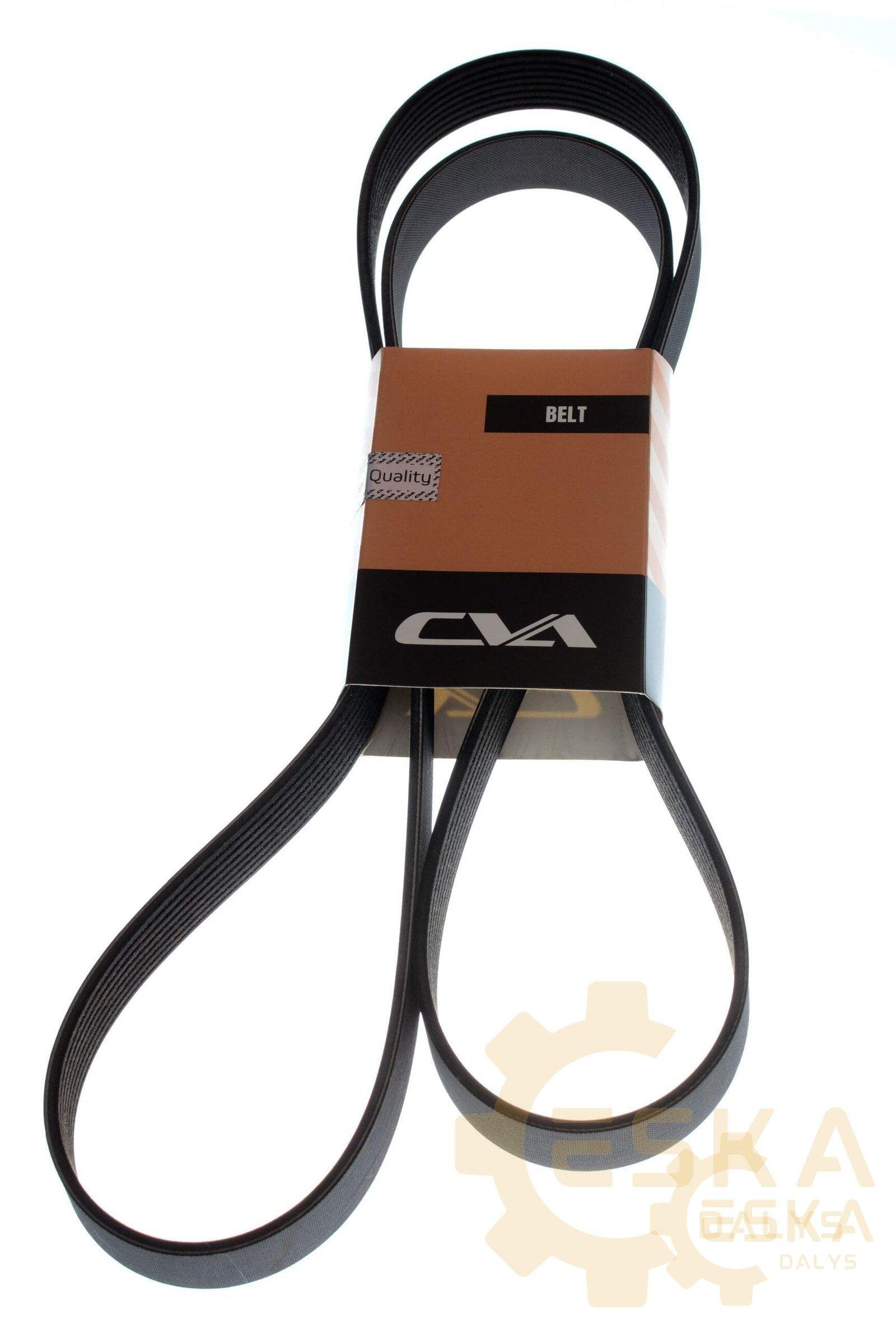 Belt PK CVA - 2601527