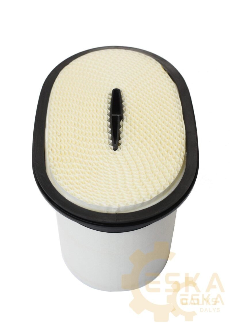 Išorinis oro filtras - 2277448