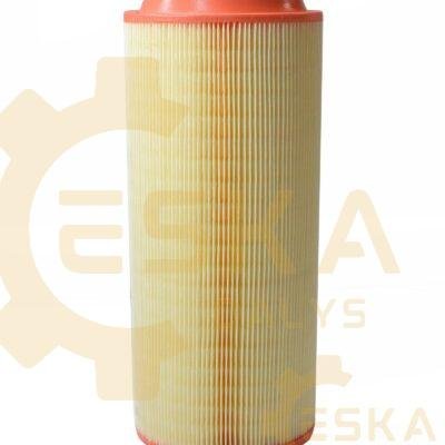 Išorinis oro filtras - 2903849