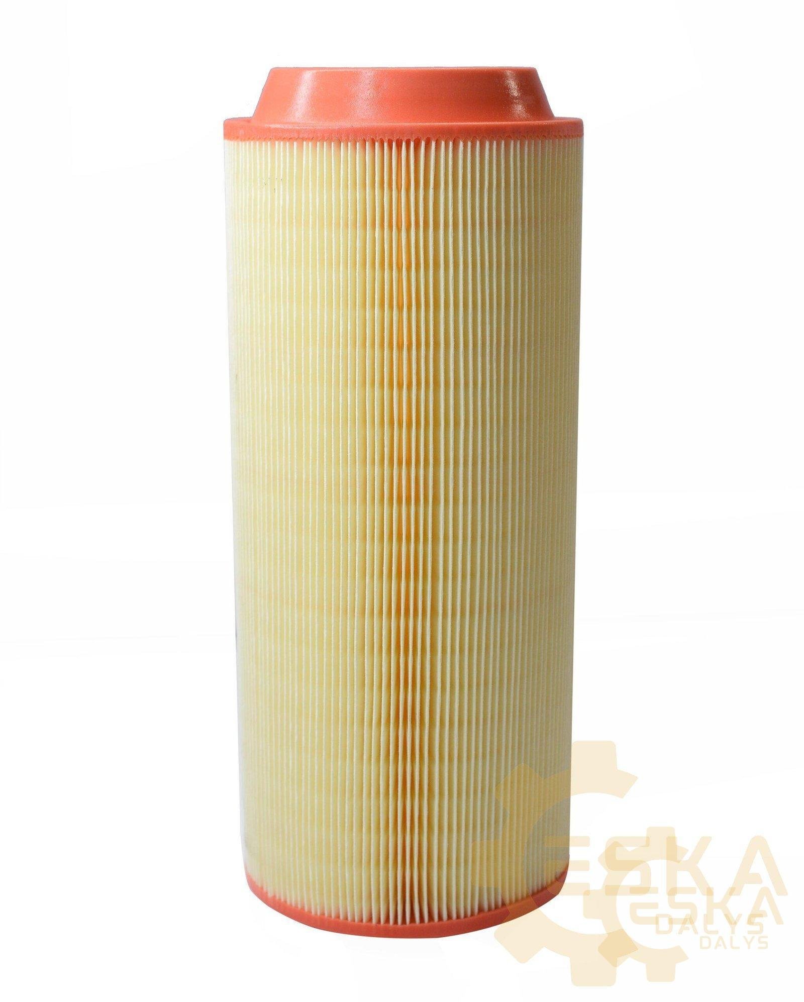 Išorinis oro filtras - 2903849