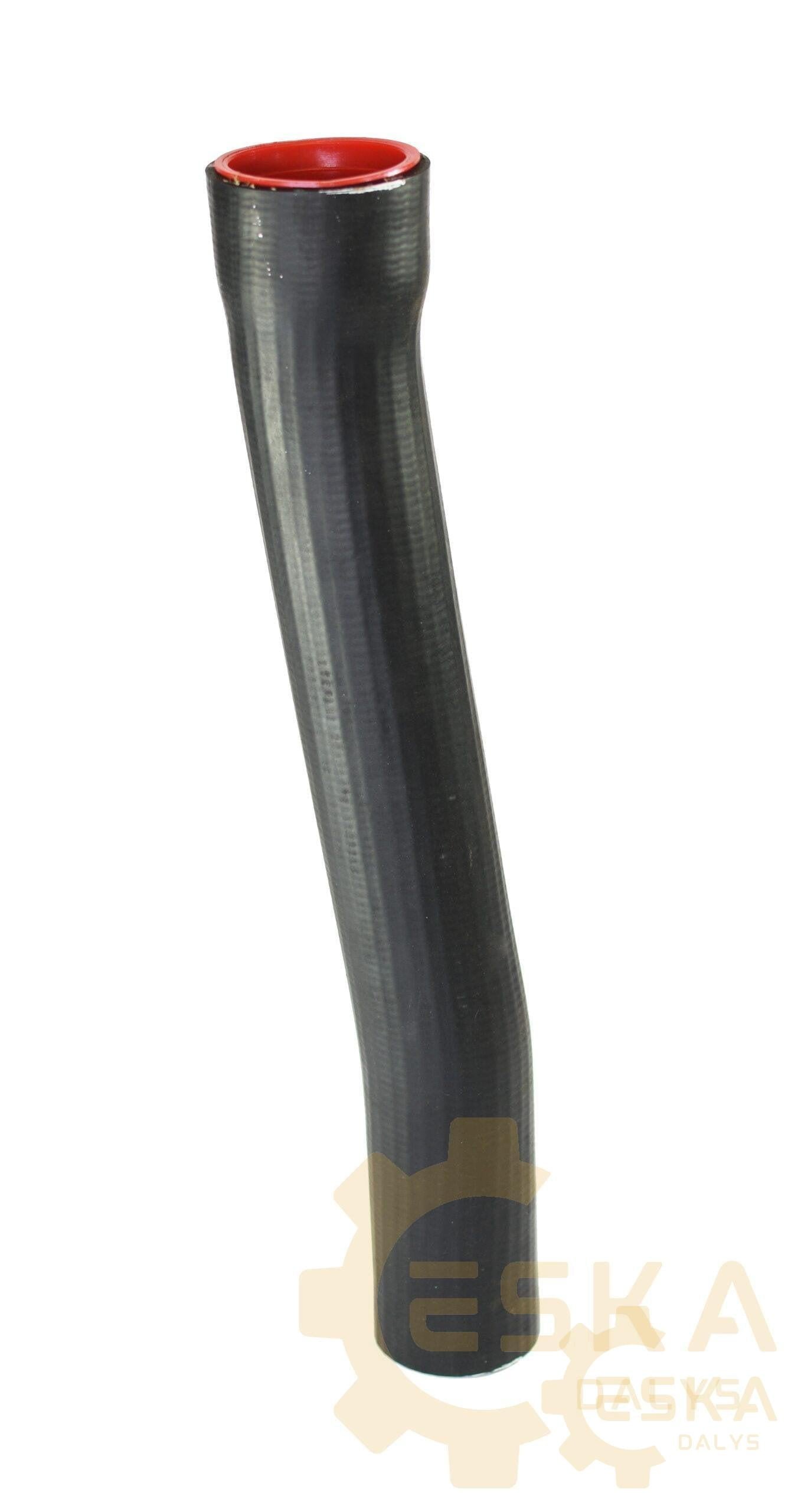 Žarna Originalas - 2358528 - Image 2