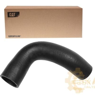 Žarna Originalas - 1197749