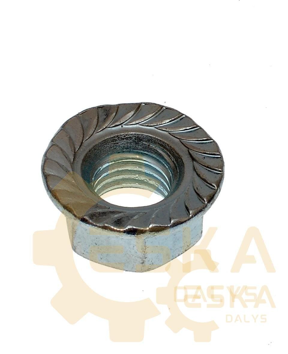 Veržlė - 13971095 - Vaizdas 2