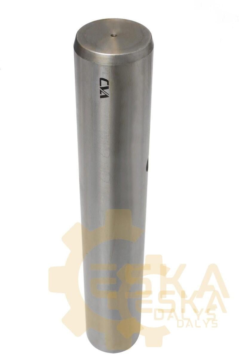 Kaištis CVA - 11883732 - Image 4