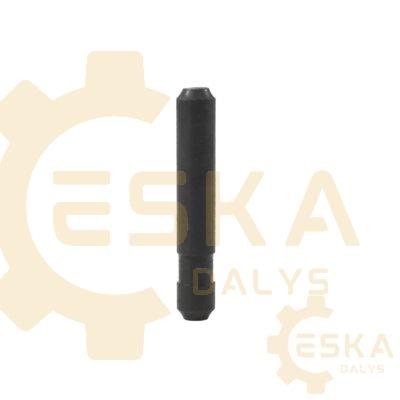 Apsaugos kaištis CVA - 2011238