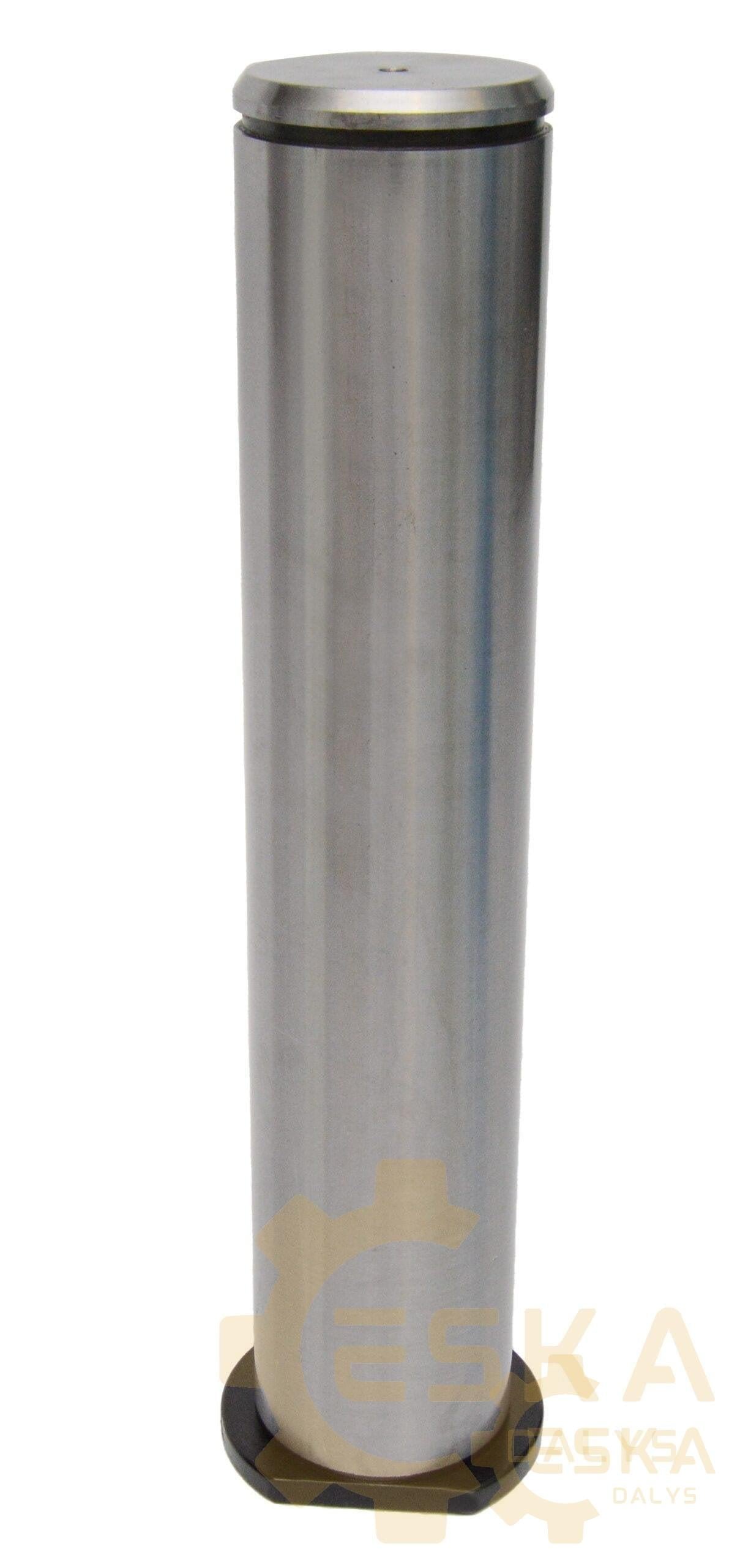 Kaištis CVA - 2827781 - Vaizdas 2