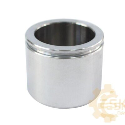 Stabdžių stūmoklis - 4V4852