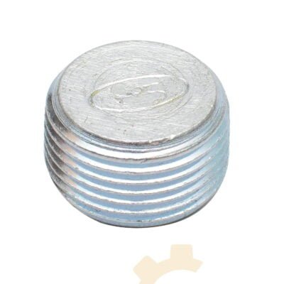 Alyvos išleidimo varžtas be magneto - 9R6602