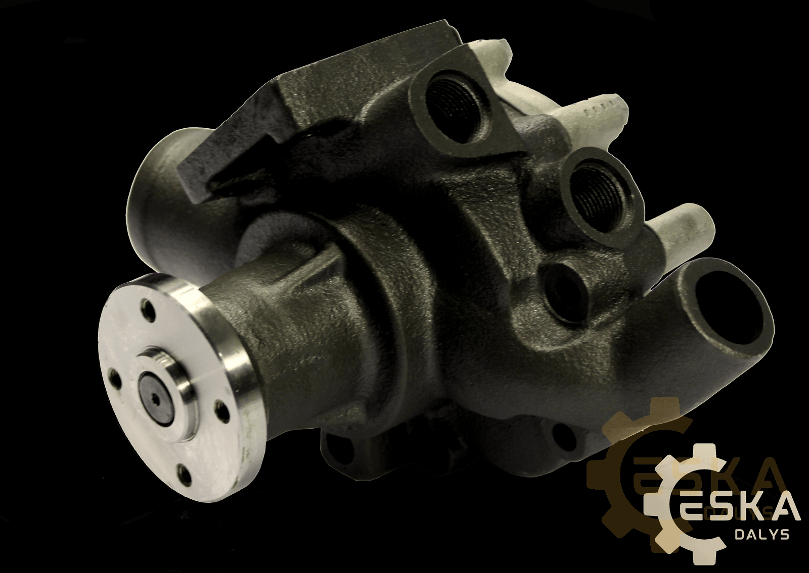 Vandens pompa - 3502536