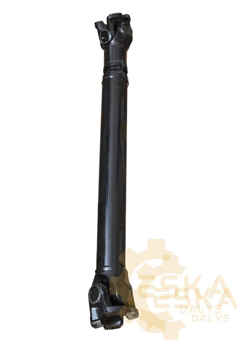 Pavaros velenas - 15013438 - Vaizdas 2