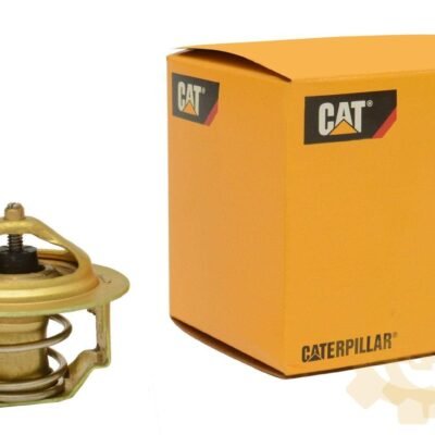 Termostatas Originalas - 2923301