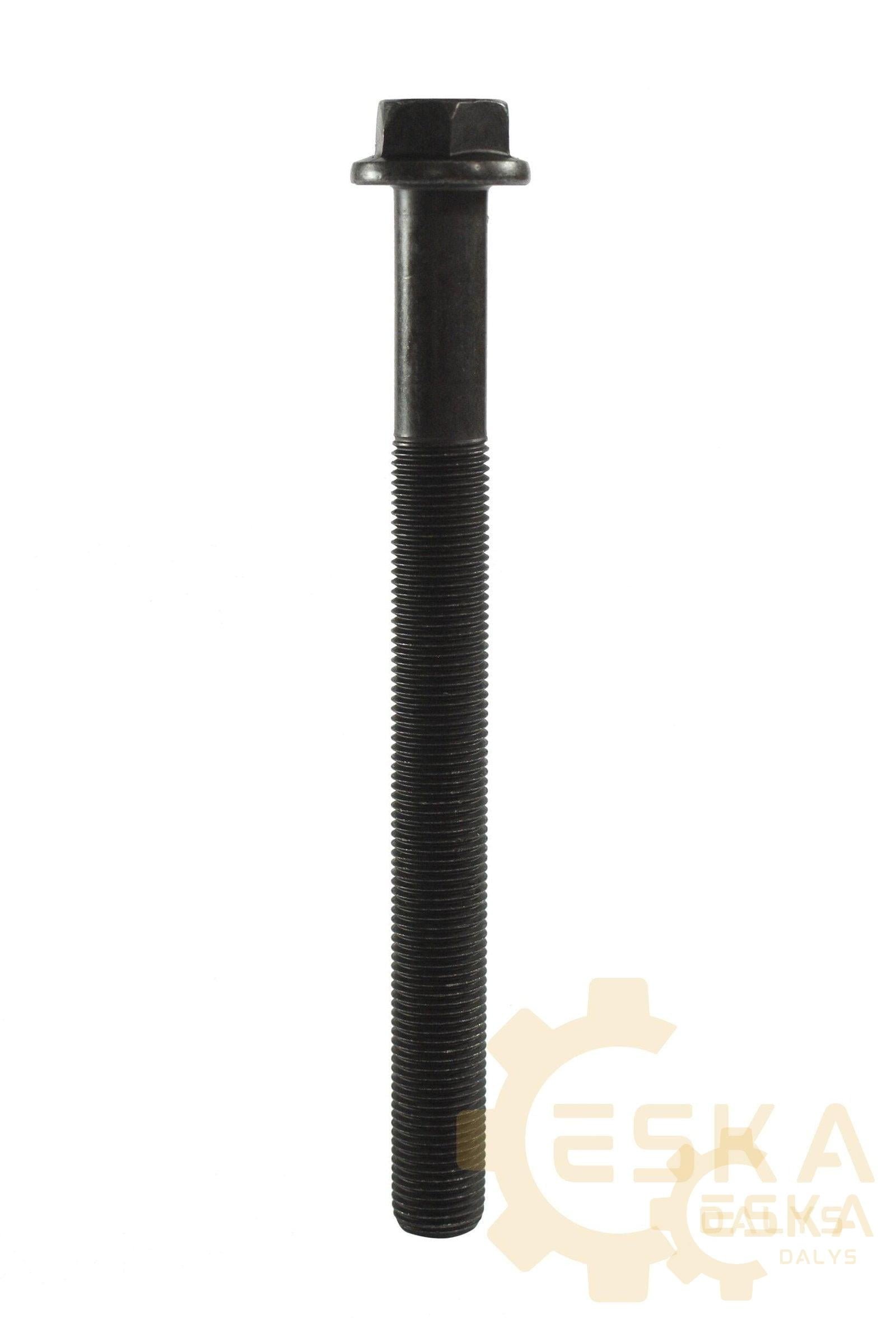 Variklio galvutės varžtas - 2255502 - Vaizdas 2