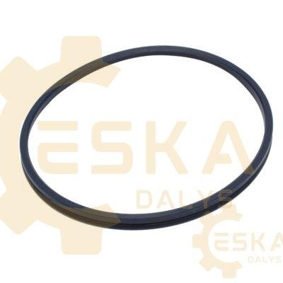Kaiščio riebokšlis – purvasaugis - 1550829