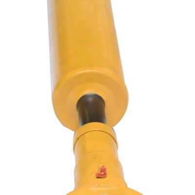 Pavaros velenas CVA - 2027875