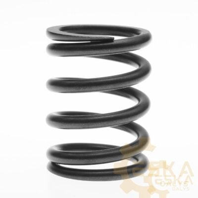 Vožtuvo spyruoklė - 2064127