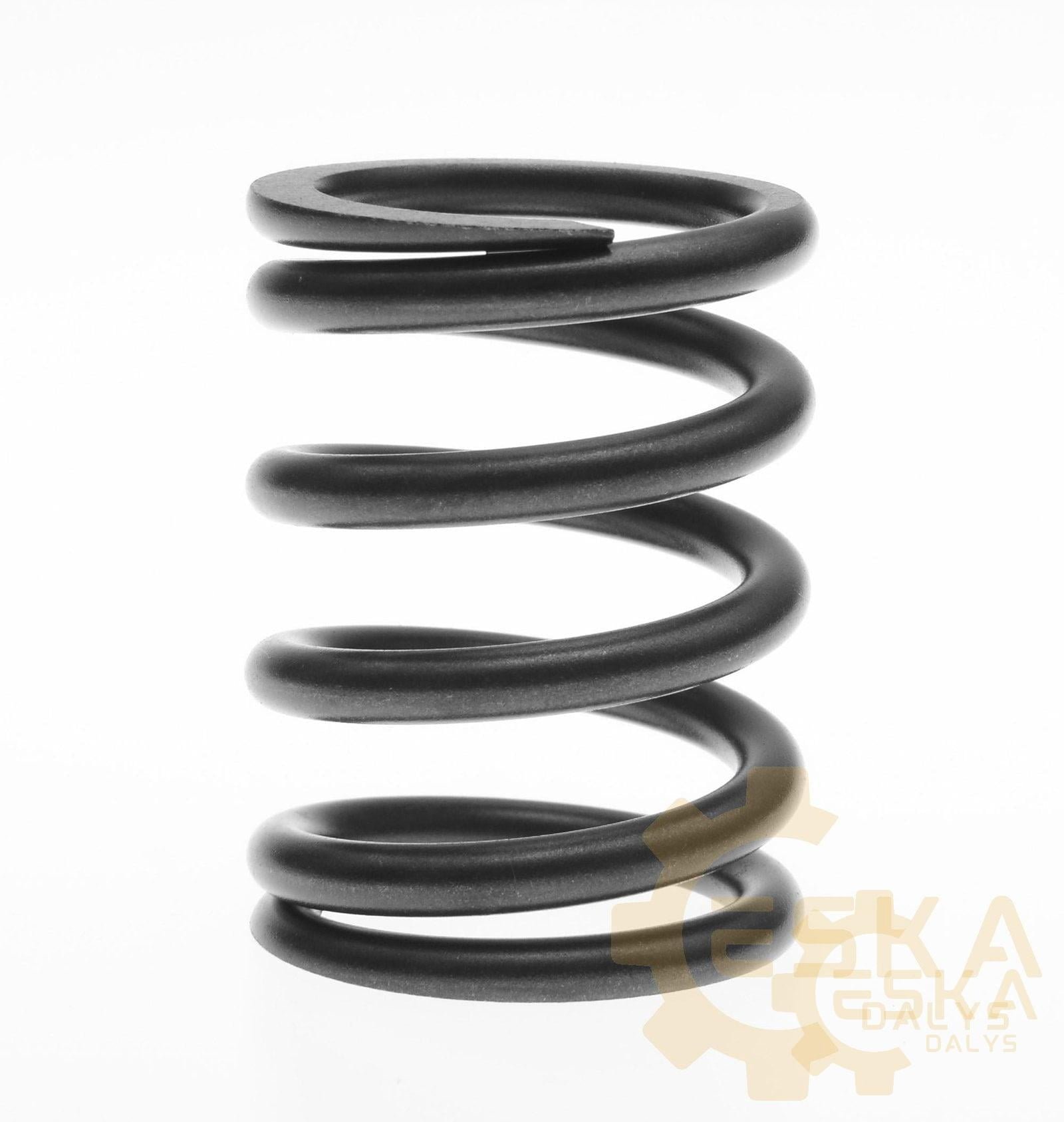 Vožtuvo spyruoklė - 2064127