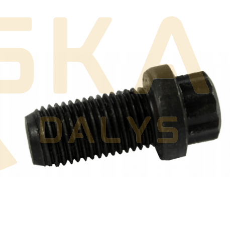 Varžtas - 826/00892