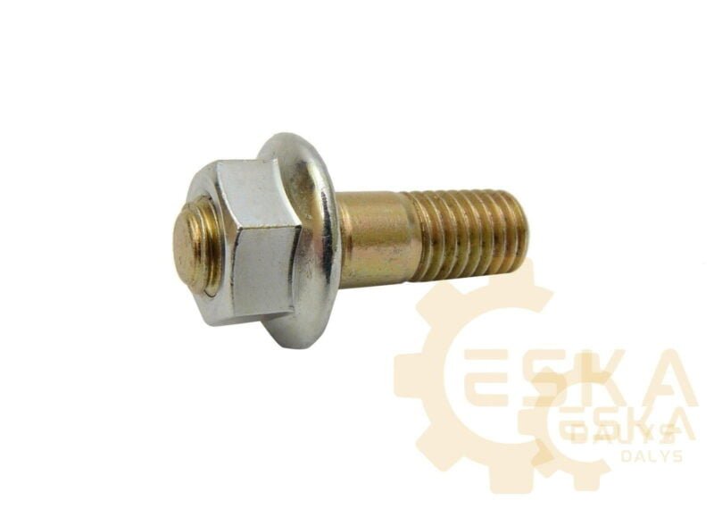 Smeigė M10X37 su veržle - 826/11384