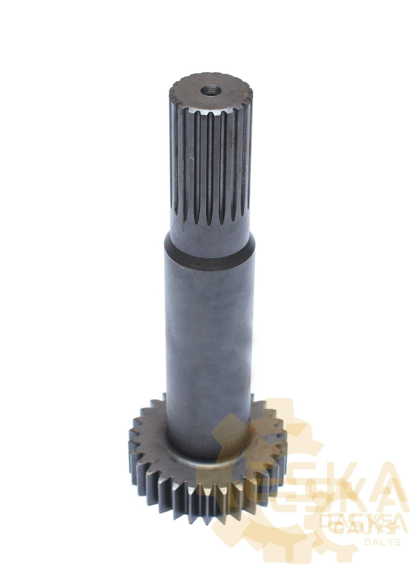 Shaft gear - 20/951592