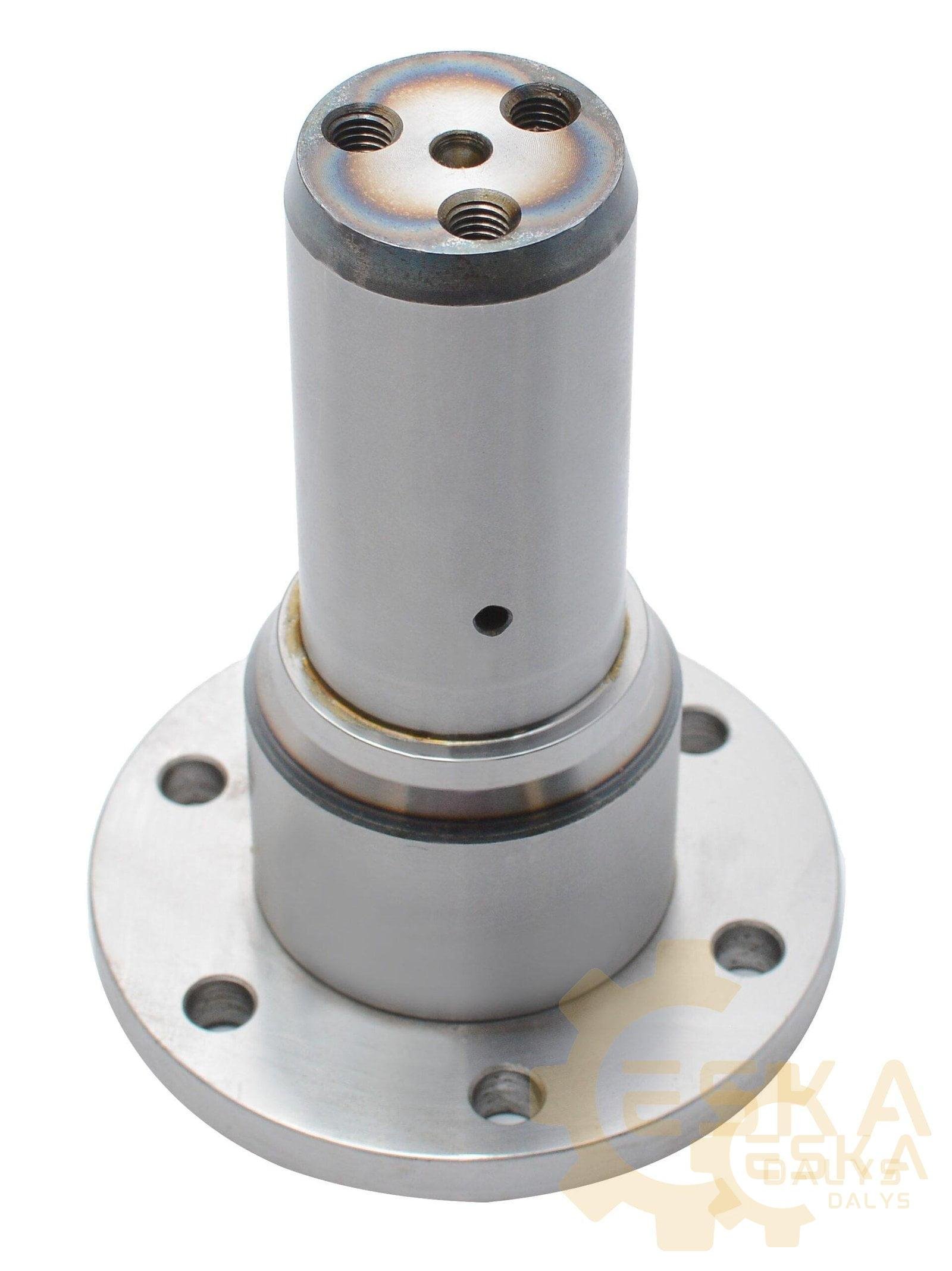 Kaištis - 1382177 - Bild 2