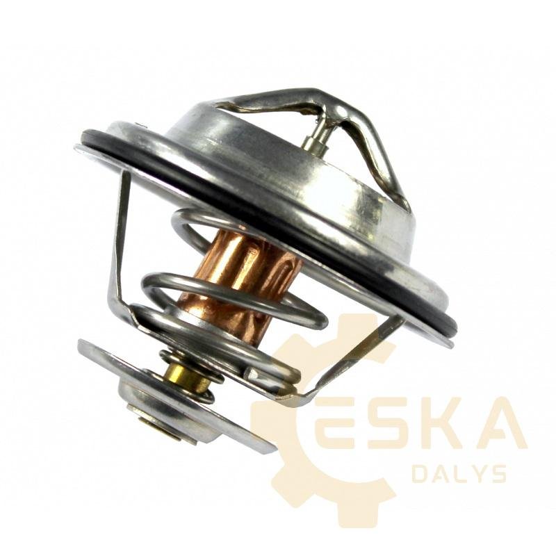 Termostatas - 02/100192