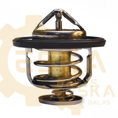 Termostatas - 320/04552