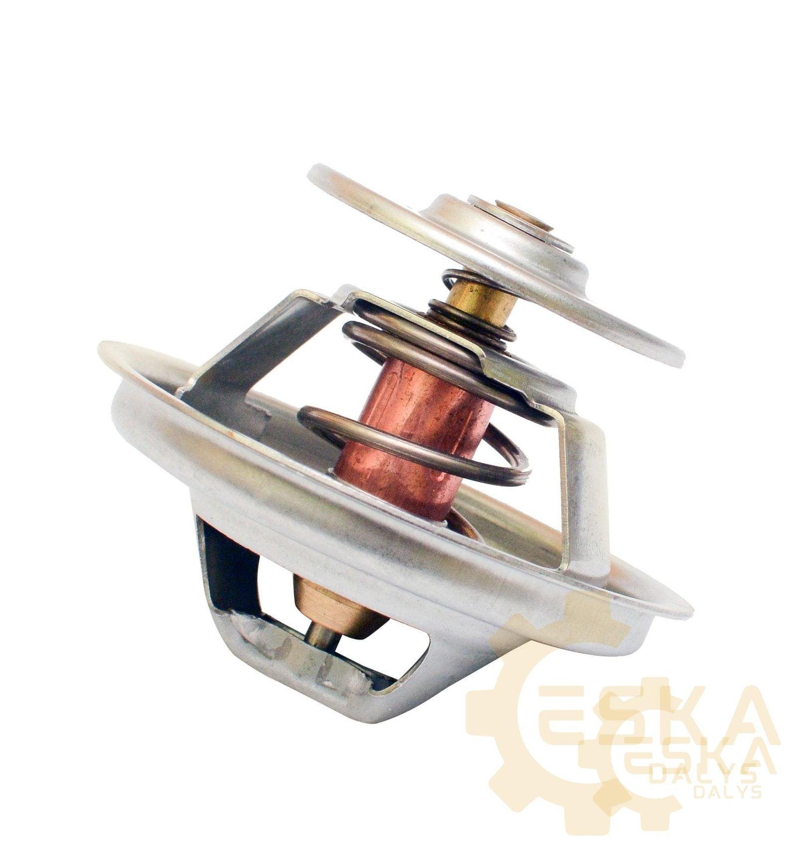 Termostatas - 20460312