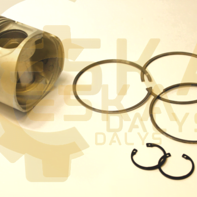 Stūmoklis - 21305007